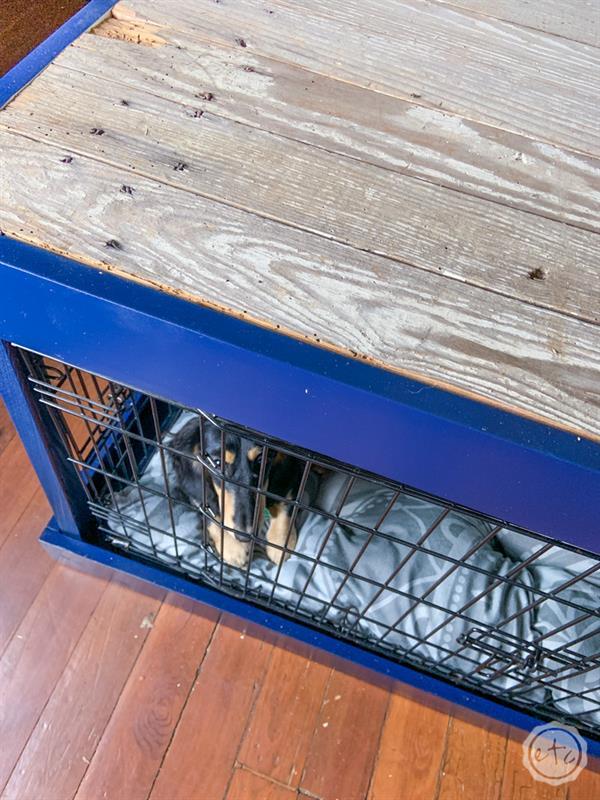 diy-dog-kennel-cover-with-an-antique-door-1