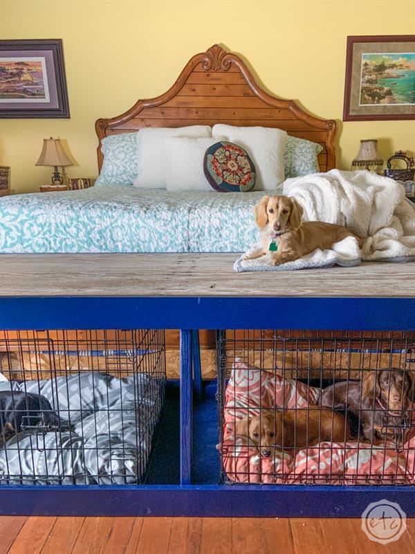 diy-dog-kennel-cover-with-an-antique-door-4