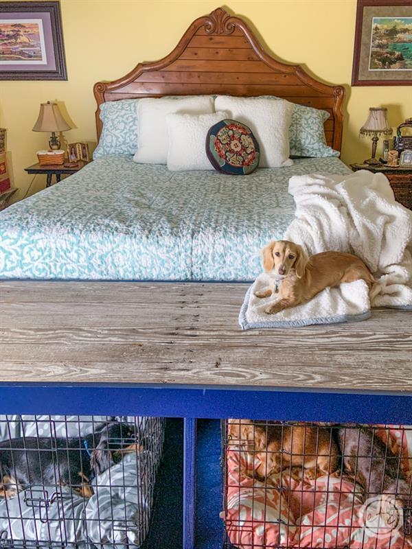 diy-dog-kennel-cover-with-an-antique-door-7
