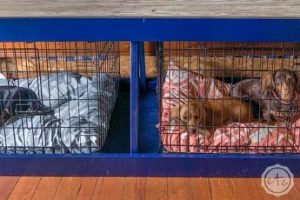 DIY Dog Kennel Cover with an Antique Door