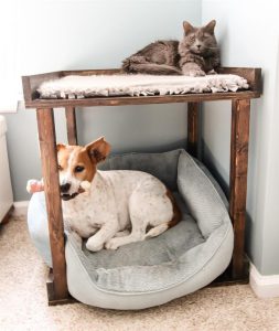 Bunk Bed For Dogs, The Following Big Point!