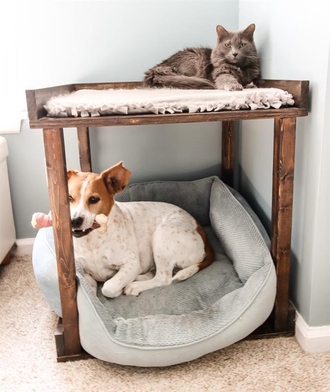 Kreg Tool Innovative Solutions For, Doggie Bunk Beds