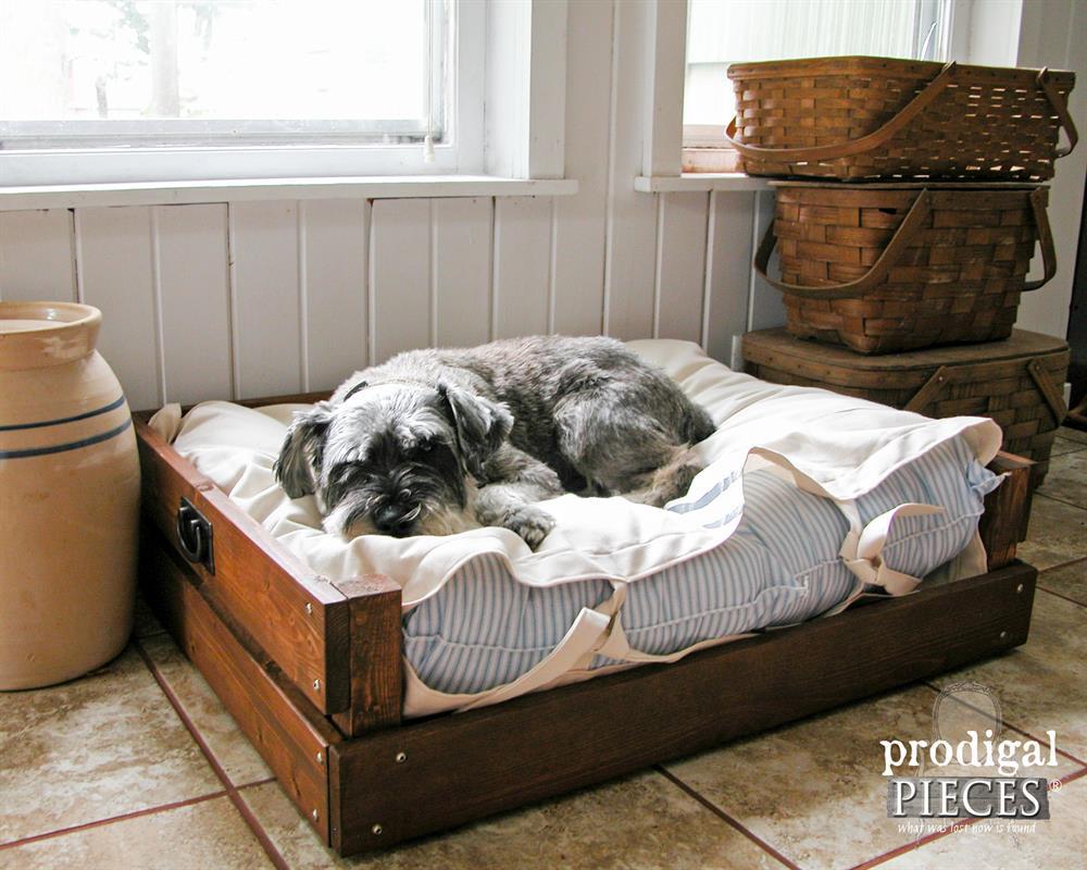 dog-bed-2