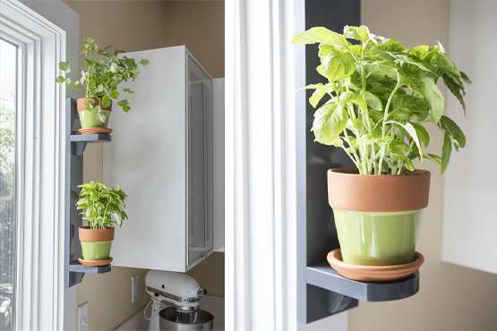 Simple Indoor Herb Shelf