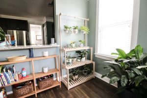 DIY Plant Stand with Hanging Bar