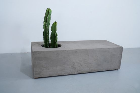 Coffee Table with Planter