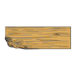 Illustration of wood rot