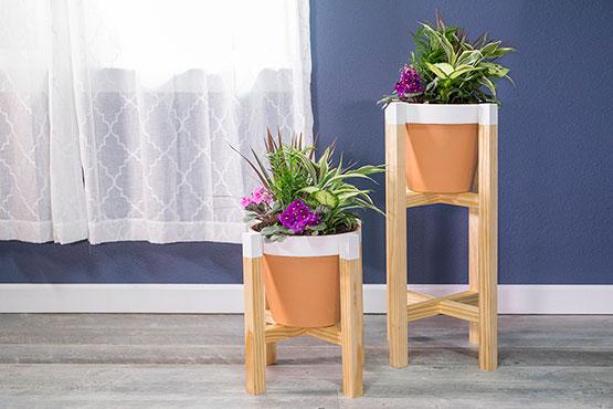 plant stands with potted plants