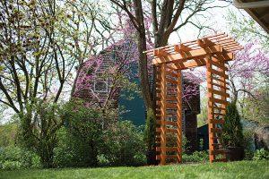 Cedar Arbor