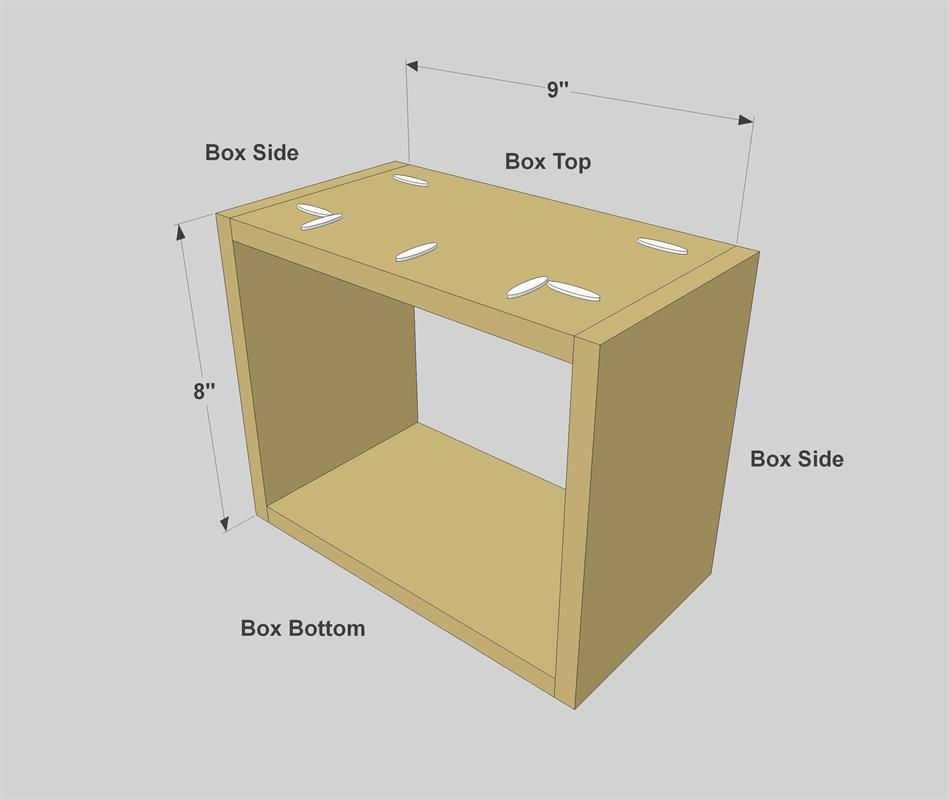 Step 5