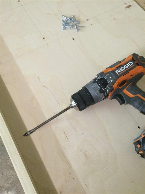 Step 20