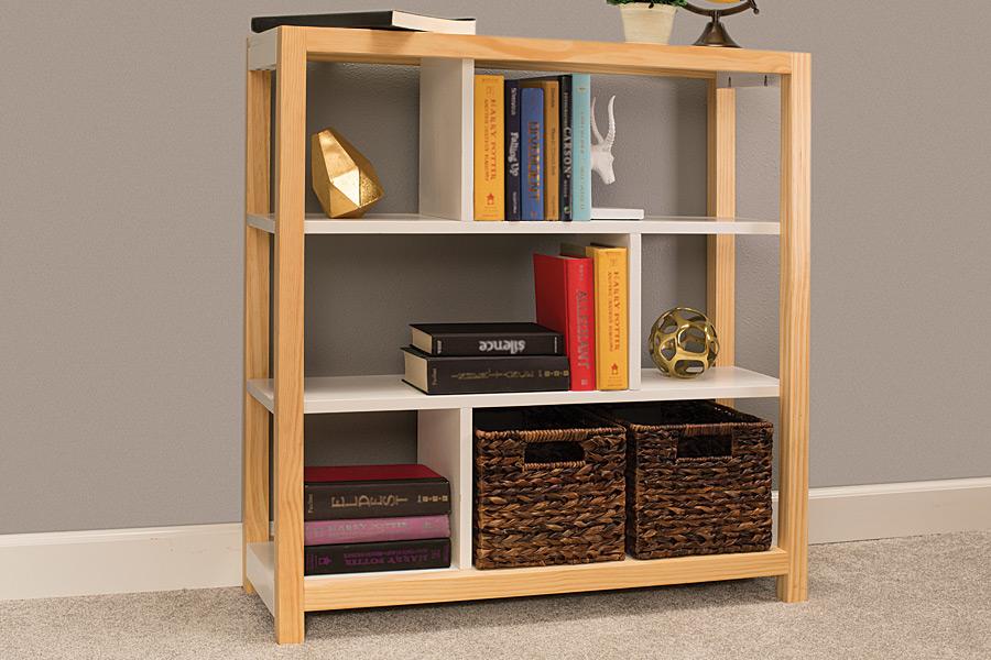 Book-Case-Pic-1