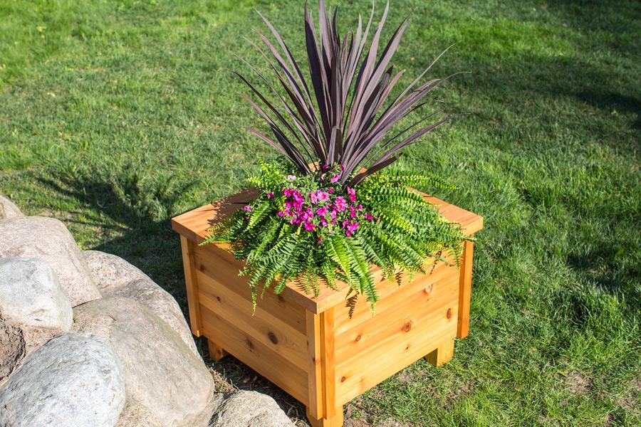 cedar-planter-box-pic-2