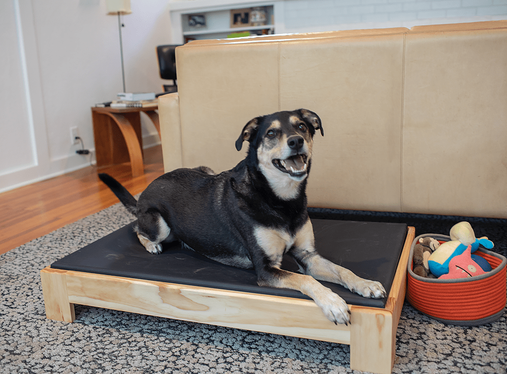diy-dog-bed-pic-2