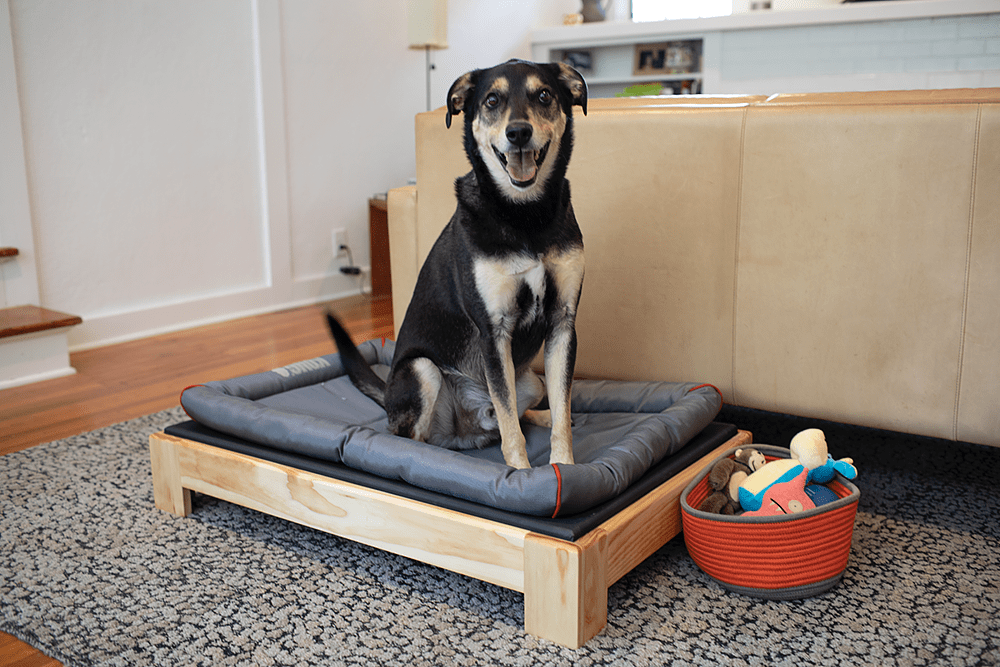 DIY Dog Bed Pic 3