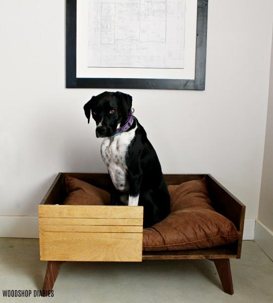 diy-large-modern-dog-bed-small