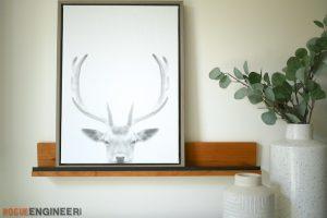 Display Ledge/Shelf