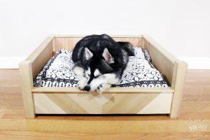 DIY Chevron Wooden Dog Bed