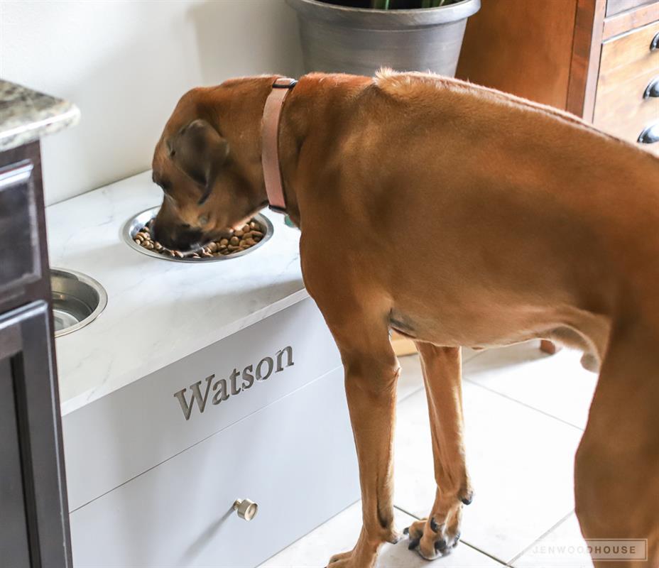 diy-pet-feeding-station-9
