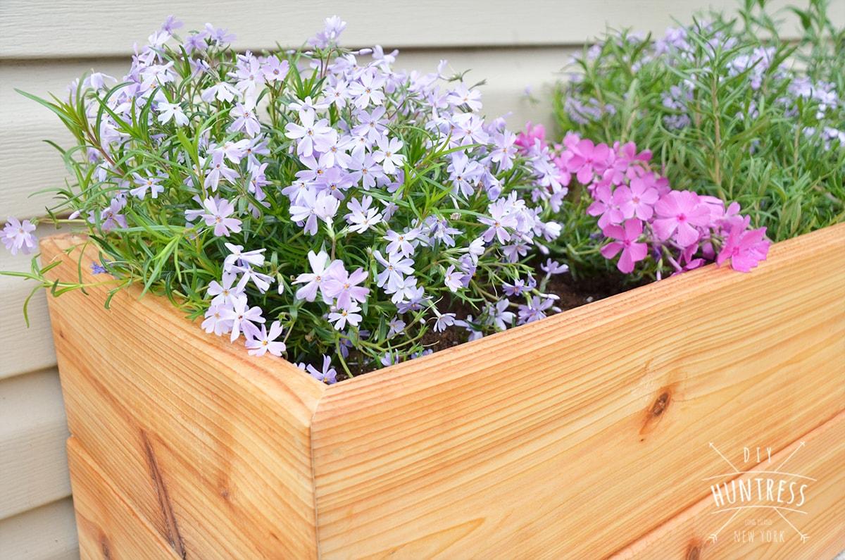 diy_modern_cedar_planter-3