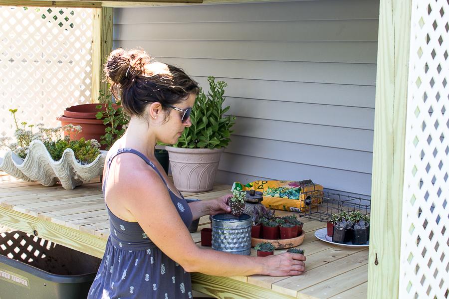 dani5_potting_shed