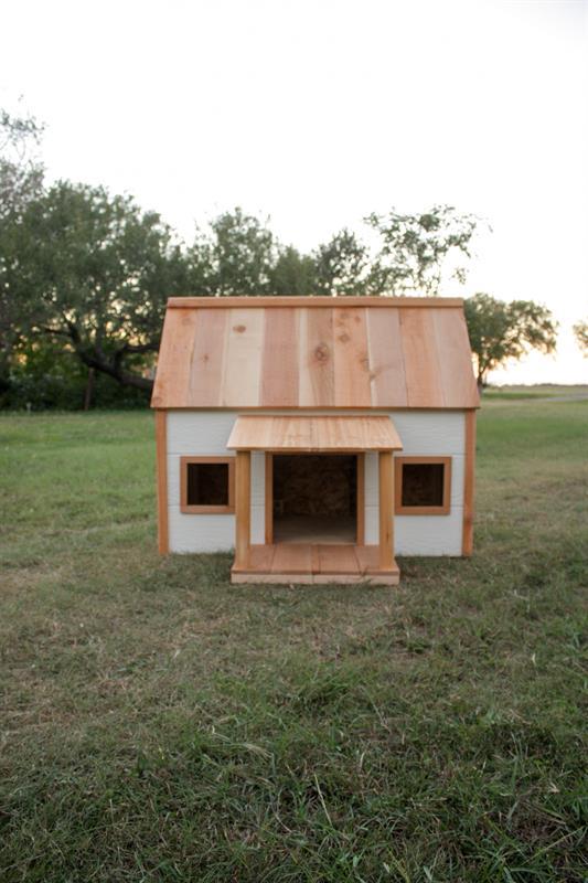dog-house4-1-of-1