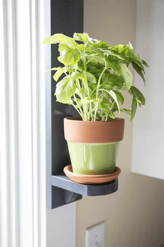 herb-garden-3