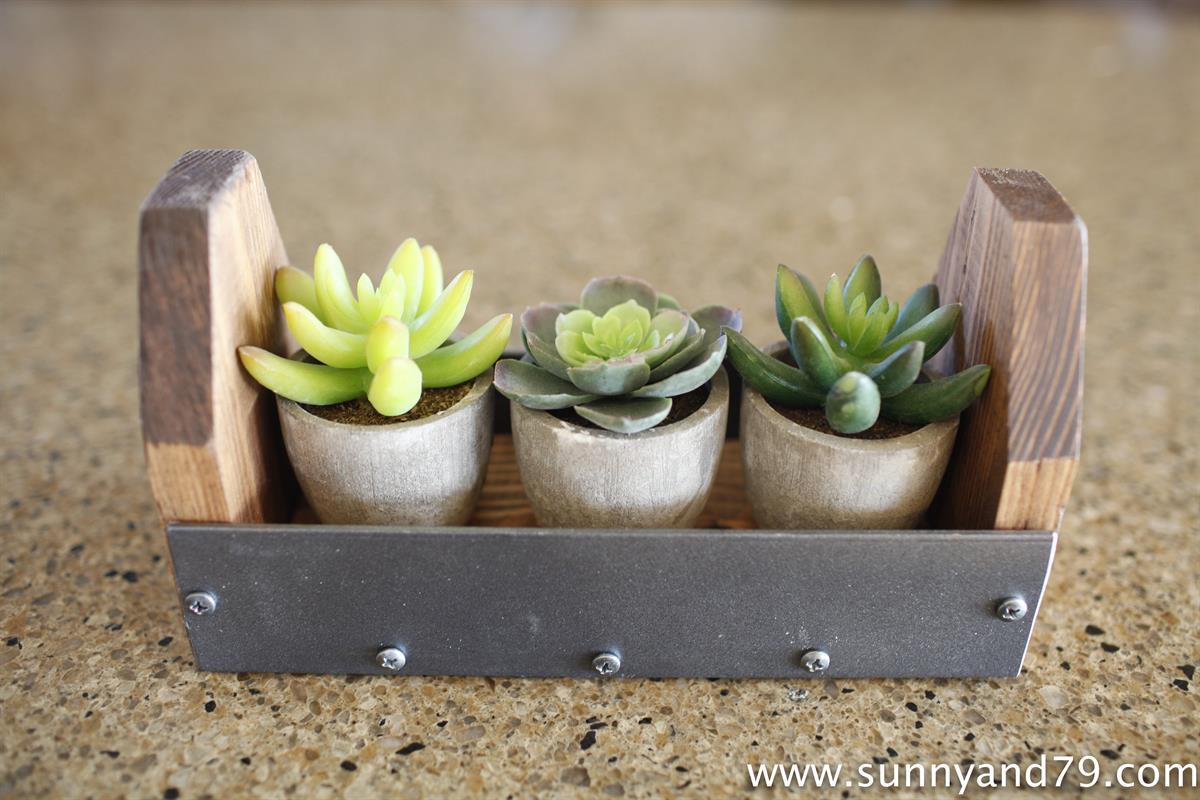 HomesteadInspiredSucculentHolder-53-1