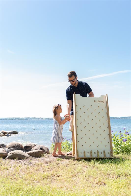 how-to-make-a-plinko-board-4942