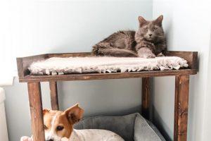 Pet Bunk Bed