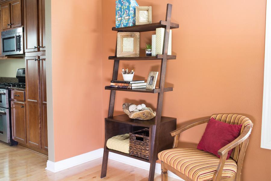 Ladder-Shelves-Pic-1