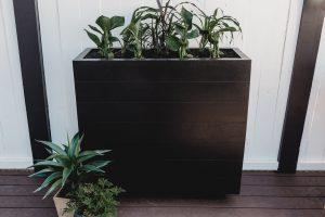 Large Outdoor Planter