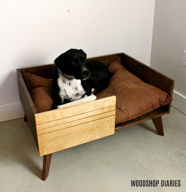 lucy-lying-in-new-diy-dog-bed-for-large-dog-small