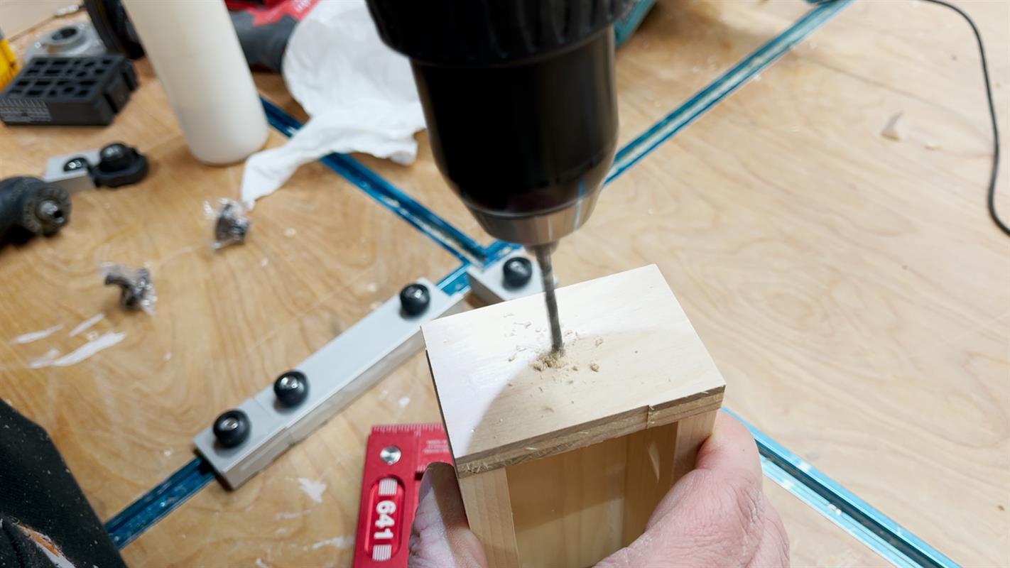 Step 11