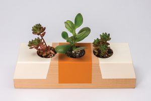Succulent Tabletop Planter