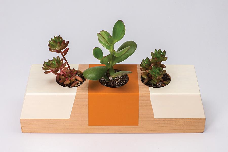 Tabletop-Planter-Box-Pic-1