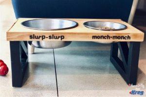 Build a Modern Doggie Feeding Station