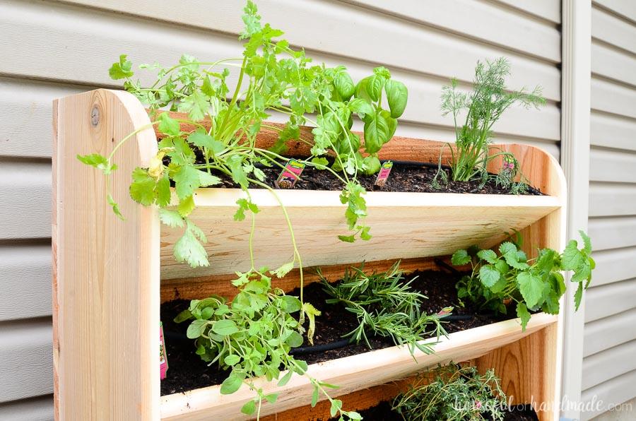 diy-vertical-garden-with-drip-watering-system-1