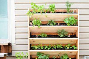 Vertical Herb Garden