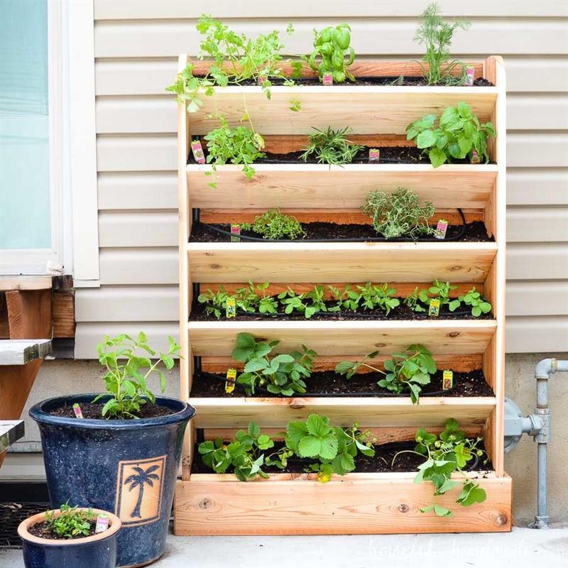 diy-vertical-garden-with-drip-watering-system-3