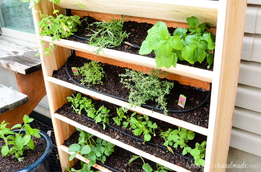 diy-vertical-garden-with-drip-watering-system-6