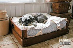 DIY Dog Bed Frame – How To Make a Dog Bed