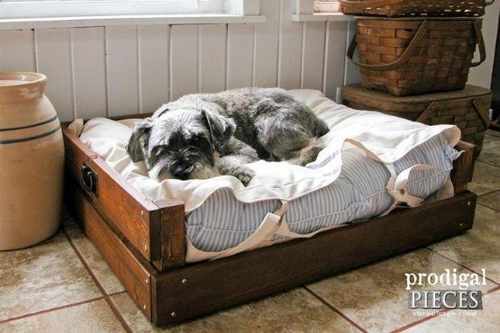 DIY Dog Bed Frame – How To Make a Dog Bed