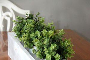 Planter Box Centerpiece