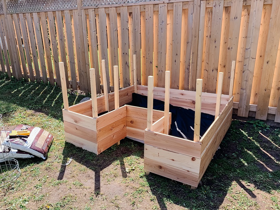 Step 6