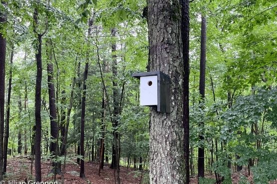 Modern Style Birdhouse