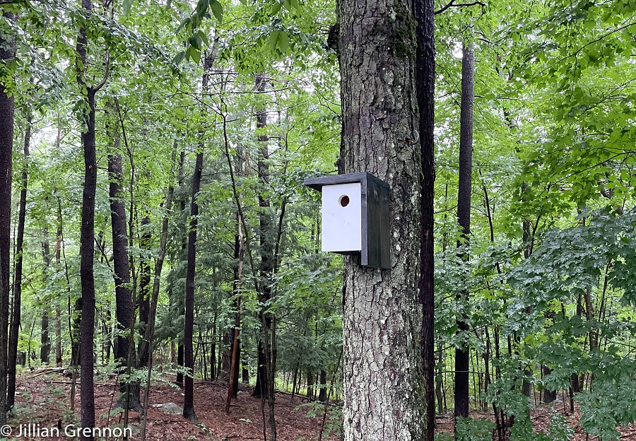 simple-modern-birdhouse