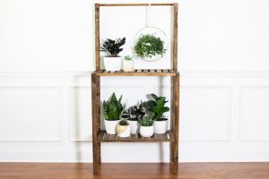 DIY Plant Shelf