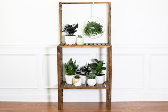 DIY Plant Shelf