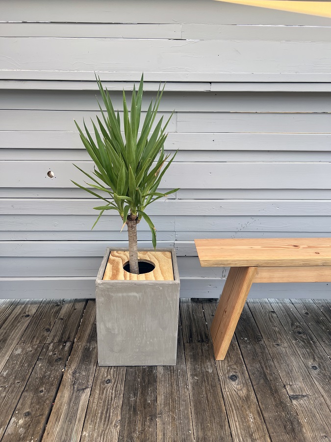 50planterbench